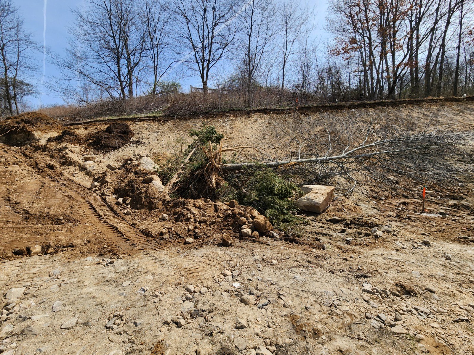 Clearing and Grubbing - Flanders Road (Route 161)
